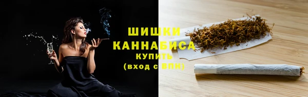 стаф Вязьма