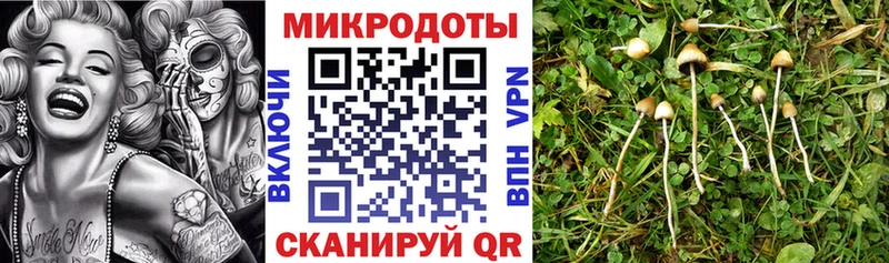 Псилоцибиновые грибы MAGIC MUSHROOMS  Гусь-Хрустальный 